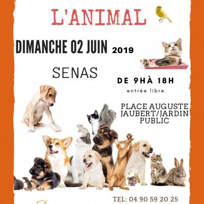 Journée de l'Animal - 02 juin 2019