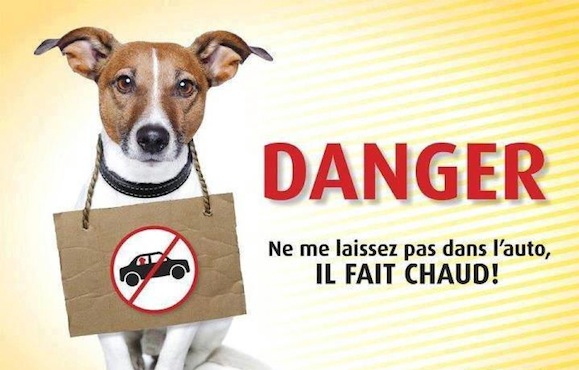 Coup de chaleur