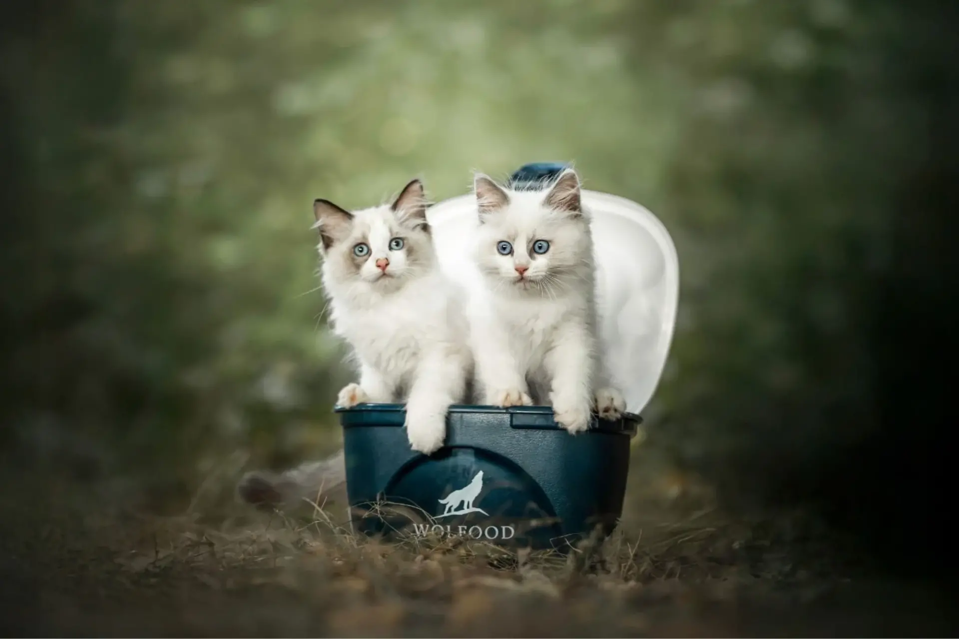 Nourrir comme la nature